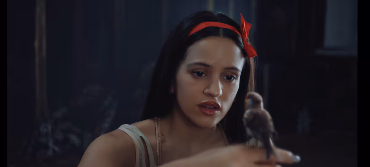 Fondo